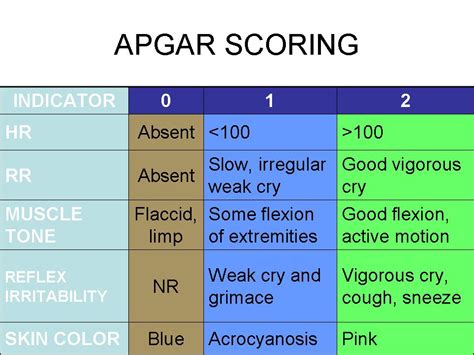 What Is The Apgar Score Apgar Score Scoring System Mu