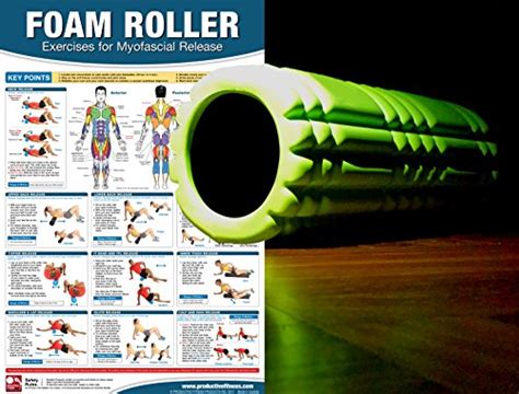 Foam Roller Myofascial Release Chart Poster Muscle Massage Myofascial Release Poster Muscle
