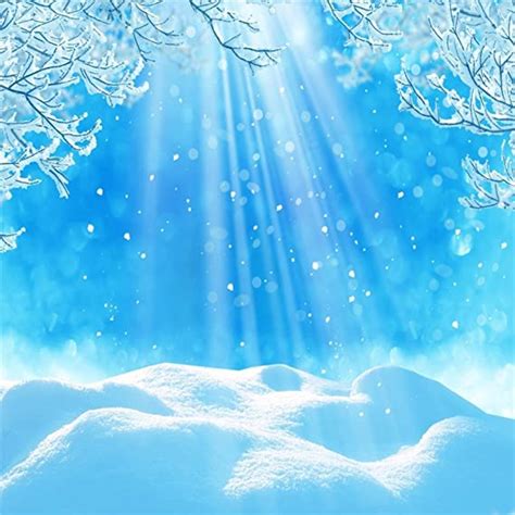 Amazon.com : CSFOTO 5x5ft Background for Snow Scene Snowflake ...