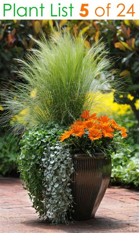24 Stunning Container Garden Planting Ideas Garden Containers Mixed