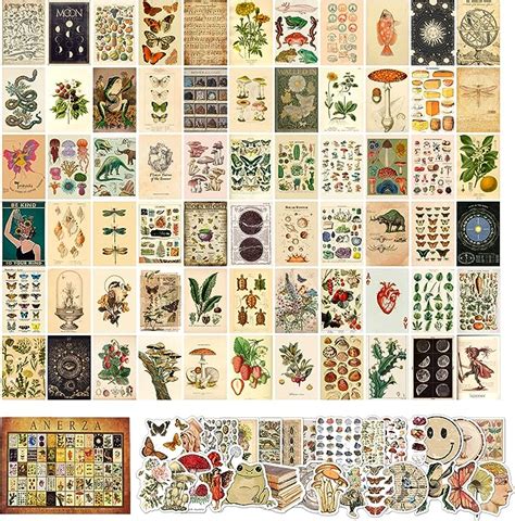 Anerza 100 Pcs Vintage Wall Collage Kit Aesthetic Pictures Cottagecore