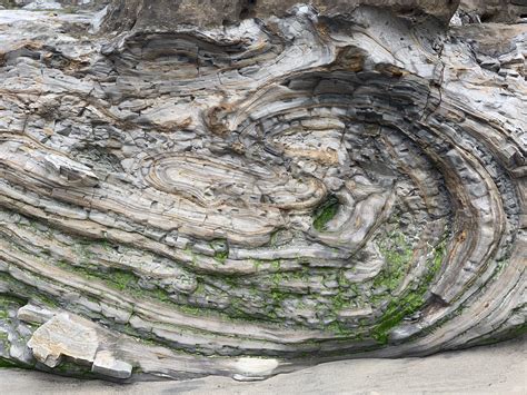 Convolute Bedding At Scripps Beach In San Diego Rgeology