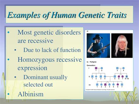 Ppt Mendelian Genetics Powerpoint Presentation Free Download Id152605