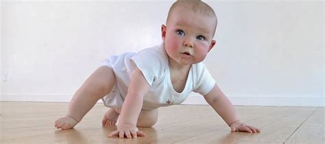 You never hear about finding fluffy bunnies and. Baby Crawling: A Parental Guide with Tips to Help Your Baby Crawl