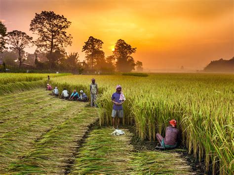 Best 10 Agriculture Companies In India In 2021 Inventiva
