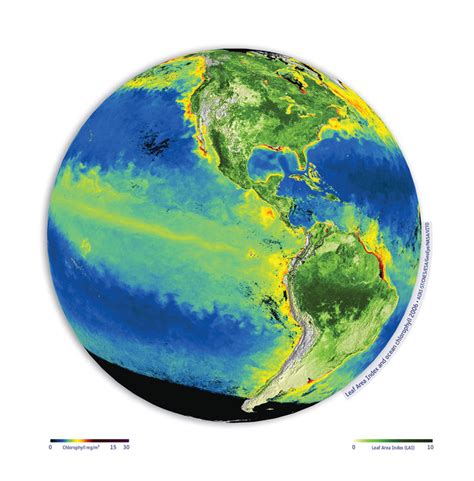 Space In Images 2013 01 Global Ocean Chlorophyll And Leaf Area Index