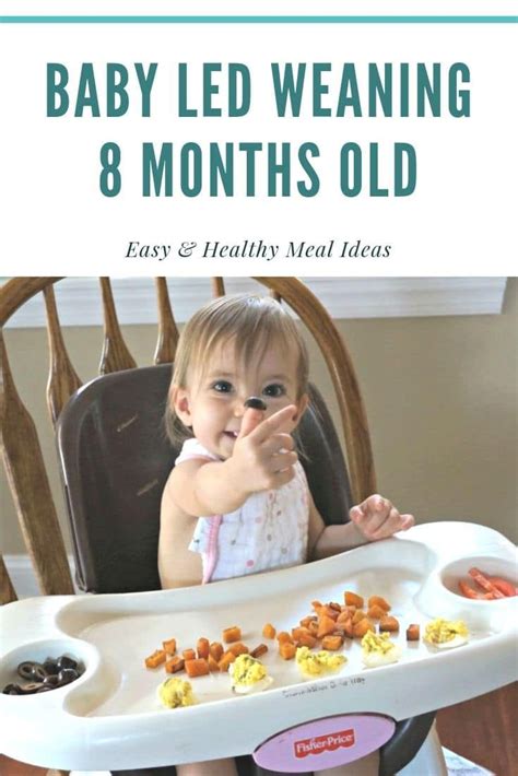 Tresillian tips for your baby's diet between 8 to 12 months. Baby Led Weaning Meal Ideas: 8 Months Old | 8 month old ...