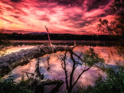 1920x1080 Resolution Body Of Water Surrounding Green Trees Hd