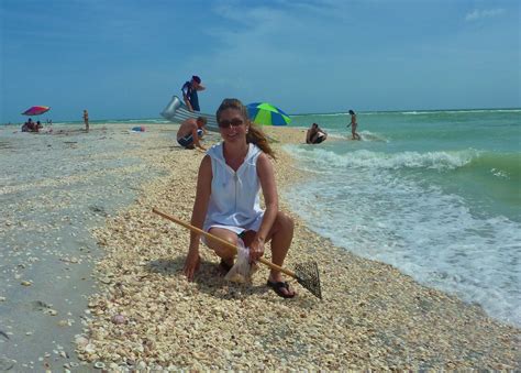 Sanibels Blind Pass Shell Pile I Love Shelling