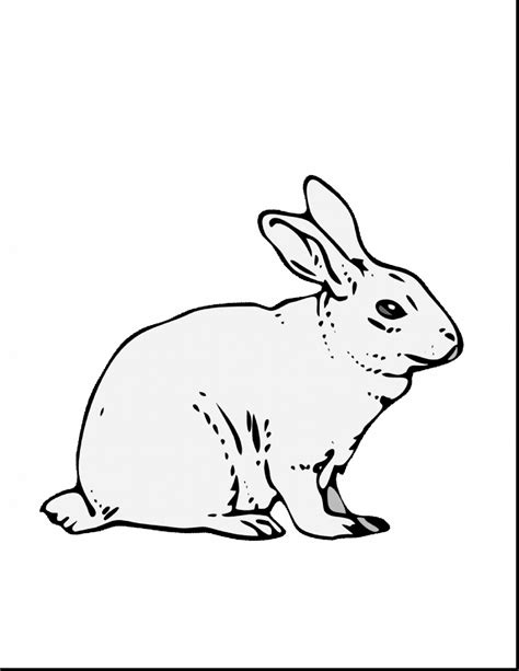 Print een kleurplaat konijn uit en ga lekker beginnen met kleuren! The best free Rabbit drawing images. Download from 2722 ...