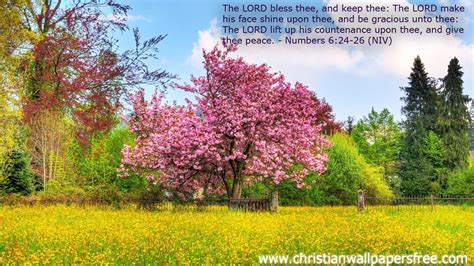 Bible verses about nature and the natural world. Download HD Christmas & New Year 2018 Bible Verse ...