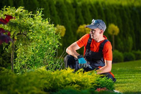 Aug 16, 2017 · guide to vegetable garden pests: Natural DIY pest control measures for your garden