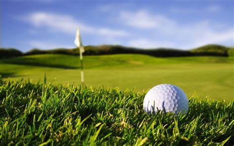 Golf Ball In Green Grass Wallpapers Hd Desktop And Mobile Backgrounds