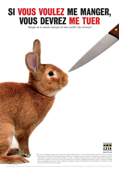 Votre Choix Est Fait Miaou Animal Rights Animals And Pets Rabbit