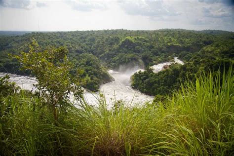 Murchison Falls National Park 3 Day Safari With Boat Cruise GetYourGuide