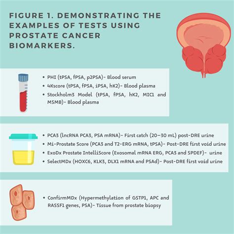 Prostate Cancer Liquid Biopsy Biomarkers Encyclopedia Mdpi