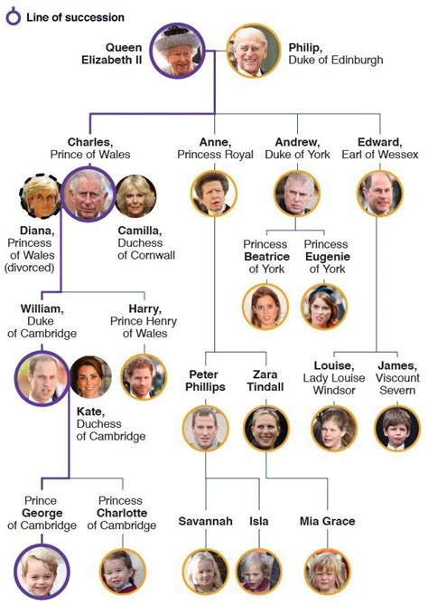 The next royals in line for the british throne include prince william, prince harry, meghan markle's baby, and a few attractive eligible bachelors. Royal Family tree and line of succession | Семейное дерево ...