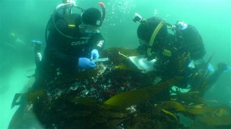 the sad history traced in the sunken slave ship found off south africa the vintage news