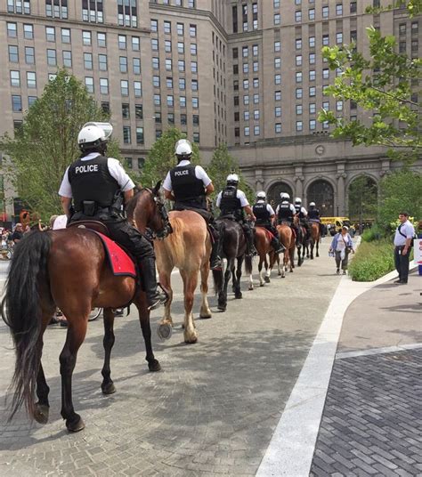 A Century In The Saddle Cleveland Mounted Police Unit Has Performed