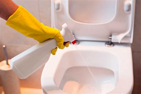How To Clean A Toilet With Bleach Storables