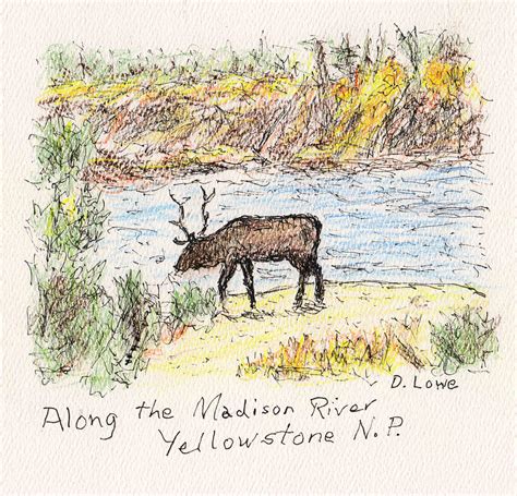 Along The Madison River In Yellowstone Drawing By Danny Lowe Pixels