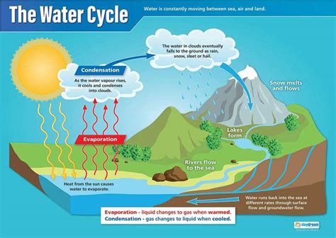 The Water Cycle Science Posters Gloss Paper Measuring 850mm X 594mm