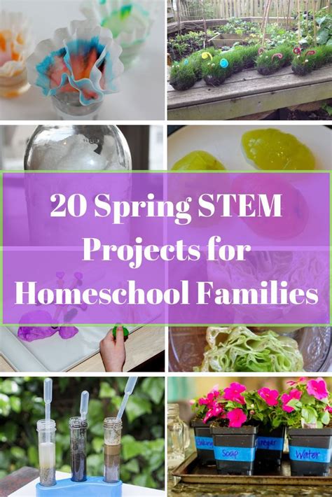 20 Spring Stem Projects For Homeschool Families Mom For All Seasons