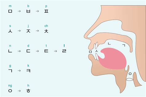 Guide To Korean Pronunciation And Grammar Rules The Glossika Blog