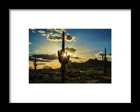 Desert Glory Framed Print By Saija Lehtonen Framed Prints Arizona