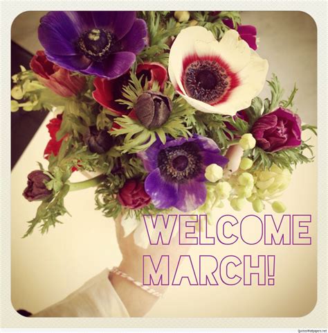 Awesome and hello March photos | Hello march, Hello march images, March