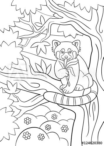 100 best coloring pages of the cutest black and white bear. "Coloring pages. Little cute red panda eats leaves." Stock ...