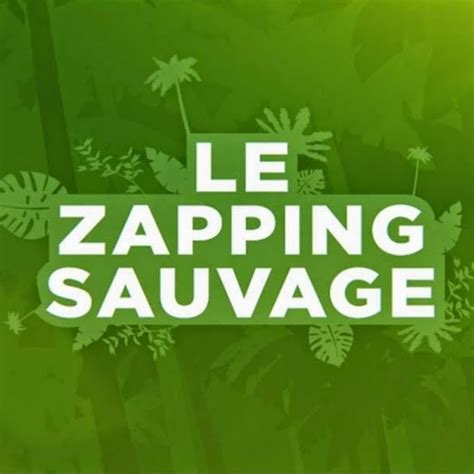Zapping Sauvage Youtube