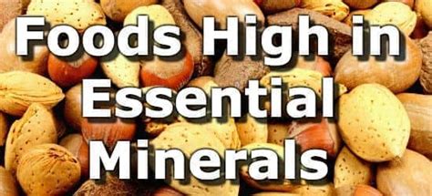 The Top 15 Foods Highest In Minerals