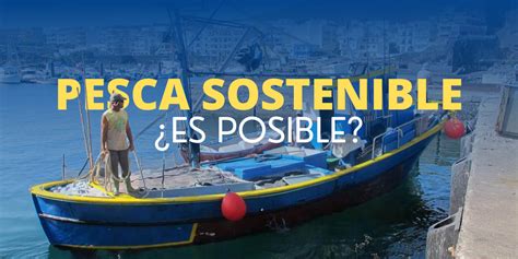 Pesca Sostenible ¿es Posible Océano De Canarias