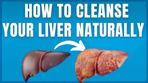Natural Way To Clean Your Liver Natural Cures Youtube