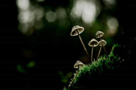 25 Photos Of Small Things In Nature That Will Shock You