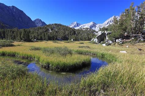 Alpine Meadow In California Mountains Stock Photo Image Of Scenic