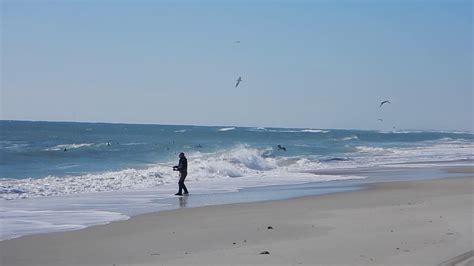 Outer Banks Fishing For Bluefish In The Surf Best Bait For Big Drum