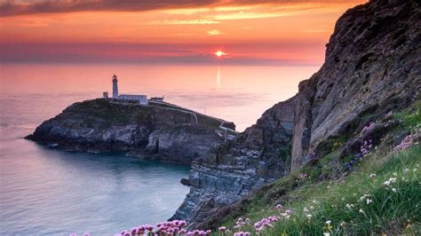 South Stack Lighthouse And Coastal Wildflowers At Sunset Anglesey
