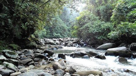 Heart of Borneo jungle trek at Kayan Mentarang cloud rainforest