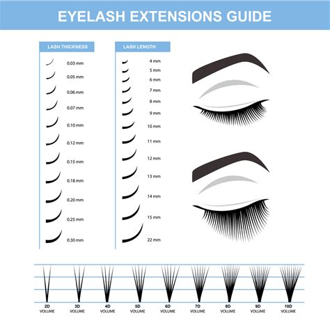 eyelash extension curl thickness length chart digital download ubicaciondepersonas cdmx gob mx