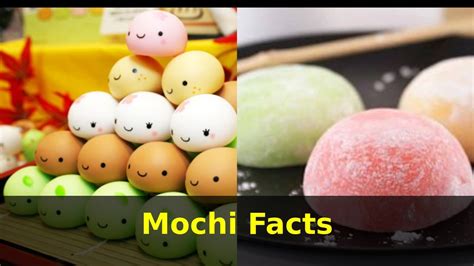 Mochi Facts For Kids Facts About Mochi Kids Educational Videos Youtube