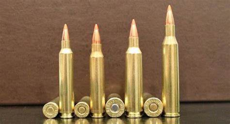9 Rifle Cartridges With The Fastest Bullet Velocity