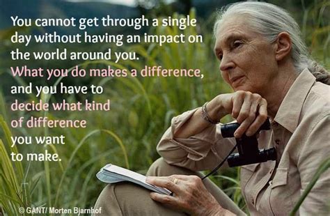 These Jane Goodall Quotes Will Inspire You To Save The World Awaken