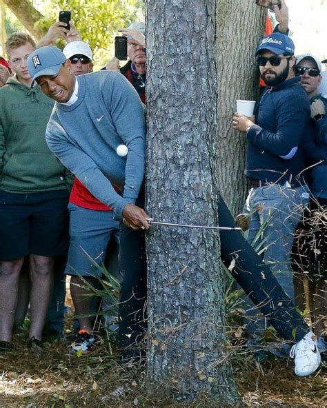 Psbattle Tiger Woods Hitting A Ball Around A Tree Rphotoshopbattles