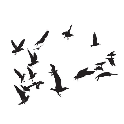 Hình ảnh đàn Chim Phía Sau Vùng Nước Png Nhóm Chim Bay Chim Chim