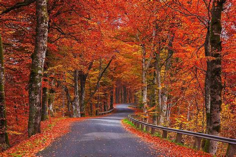 Unduh 95 Autumn Road Iphone Wallpaper Populer Terbaik Postsid