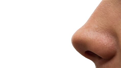 15 Unbelievable Facts About Nose