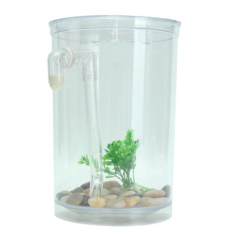 Popular plastic tank fish tanks of good quality and at affordable prices you can buy on aliexpress. Ecological Cylindrical Miniature Plastic White Fish Tank ...