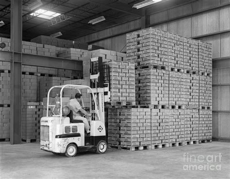 Man Operating Forklift C1960s Photograph By H Armstrong Roberts